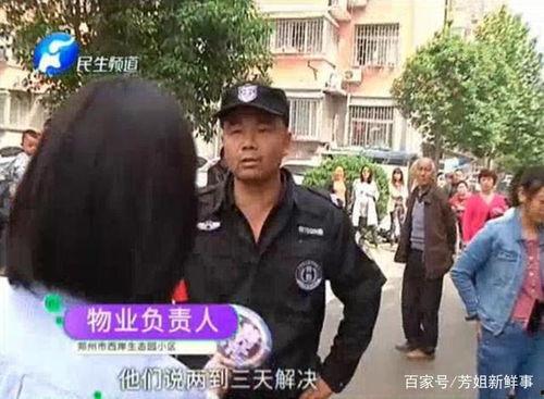 物业和业主吃瓜,一场邻里关系的微妙较量