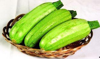 直播吃西葫芦吃瓜,西葫芦美食大赏，吃瓜群众齐分享