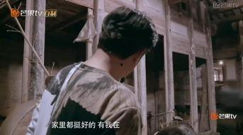 蔡国庆吃瓜,揭秘娱乐圈幕后故事