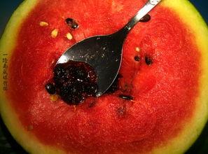 带你吃瓜奇葩炒菜