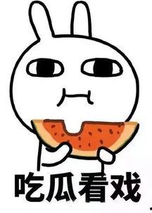 娱乐吃瓜酱理科