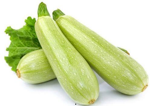 幼儿能否吃茭瓜