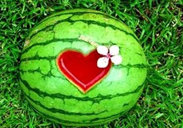 解梦吃西瓜挑瓜